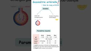 Interprétation De Gazométrie Artérielle Gaz Du Sang ArtérielPneumologie shorts [upl. by Elleraj]