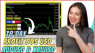 AUDUSD amp XAUUSD 78 Days Profit 895 USD Using Gold Edge Expert Advisor  Part 5 [upl. by Jegger]