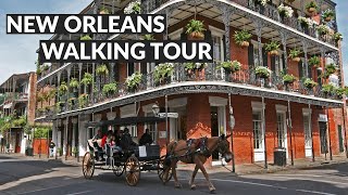 Exploring the French Quarter New Orleans  Things to do French Quarter [upl. by Hightower]