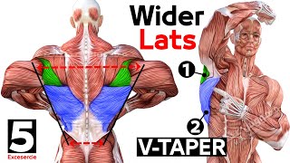 Daily Exercise To Build Lower Lats V TAPER [upl. by Eerolam321]