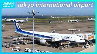 【Live】Tokyo International Airport Haneda Plane Spotting NipponTV News24 IATA HND ICAO RJTT [upl. by Akemehs]