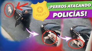 ¡POLICÍA ENSEÑA CÓMO DEFENDERSE del ATAQUE de un PERRO 🚨 [upl. by Anneuq644]