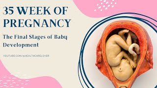 35 Week of Pregnancy The Final Stages of Baby Development [upl. by Montano]