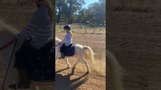 Trail rides are the bomb trending horse equestrianvibes [upl. by Burke372]