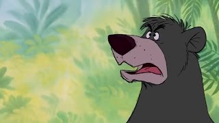 The Jungle Book ♪ Mowgli Baloo and Bagheera HD ♥ Cartoon For Kids [upl. by Airym]