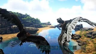 Episode 101 How to Use an Argentavis  Ark Ragnarok Survival Guide [upl. by Timms]