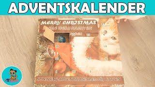 Spielzeug Adventskalender für KATZEN im Test ✅ [upl. by Berenice527]