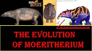 the evolution of Moeritherium [upl. by Okoyk]