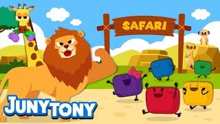 🦁Safari Adventure with Marshmallows  ❤️💛💚💙💜 Five Marshmallows  Animal Songs for Kids  JunyTony [upl. by Nosreme]