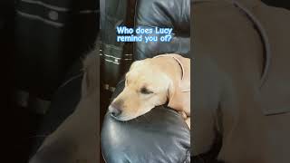 Who does Lucy remind you of [upl. by Faletti]