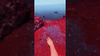 Hormuz Island Red Beach ساحل سرخ [upl. by Wagshul]