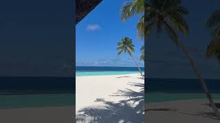 Angaga Island Resort and Spa Maldives maldives beach amazing [upl. by Thesda]