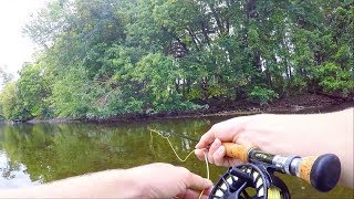 Fly Fishing TRICKY Carp In Shallow Cover [upl. by Ellenyl746]