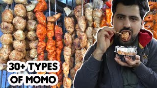 30 Types of Momo in Delhi  Delhi Street Food Series [upl. by Collum]