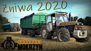 PIERWSZE ŻNIWA 2020 W GR MOKRZYN 😱 Jęczmień hybrydowy Hyvido Galileoo 🌾  Syngenta Challenge 7 [upl. by Albur]