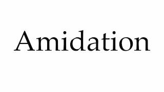 How to Pronounce Amidation [upl. by Litman]