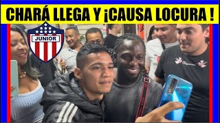 JUNIOR de BARRANQUILLA Yimmi CHARA EMOTIVA LLEGADA Victor CANTILLO NUEVO JUGADOR [upl. by Naasah]