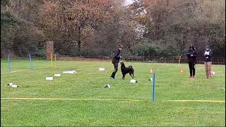 Rally Obedience Turnier beim SG OV Baiersdorf [upl. by Cresa275]