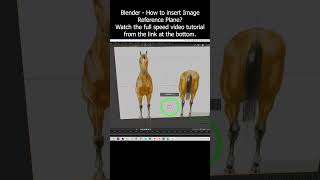 Blender  How to insert Image Reference Plane Tutorial imagereference blender 3dmodeling [upl. by Anayeek63]