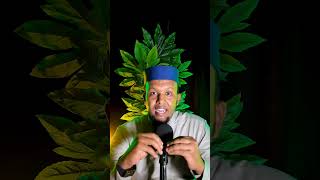 Sixirka duet wararkiiugudambeeyey chromakey arewa [upl. by Miner45]