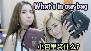 小包里有什么 WHAT’S IN OUR BAGS feat Beara Beara [upl. by Oilalue]