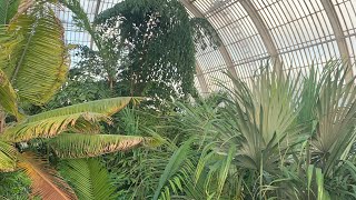 Kew GardenLondon Palm House Cześć Tropicalna [upl. by Stoneman976]