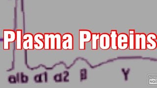 Plasma Proteins Biochemistry Albumin Globulins  Fibrinogen [upl. by Atinit]