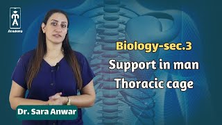 Biologysec3  Support in man Thoracic cage [upl. by Laurent168]