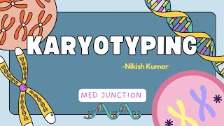 KARYOTYPING GENETICS1113 [upl. by Ablem]