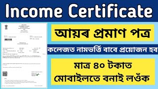 Income Certificate Online Apply 2024  How To Online Apply Income Certificate Assam  Sewa Setu [upl. by Ailaro]