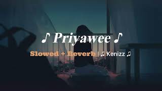 ප්‍රියාවී Priyawee  Slowed  Reverb [upl. by Evangeline]