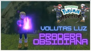 DÓNDE encontrar todas las VOLUTAS DE LUZ de la PRADERA OBSIDIANA en Pokémon Leyendas de Arceus [upl. by Ninel]