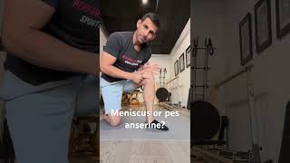 Knee pain Medial meniscus or pes anserine [upl. by Garvin426]