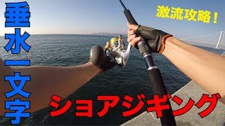 【激流攻略】垂水一文字でショアジギング！超レア魚＆青物連発でお祭り状態！ [upl. by Notnilc]