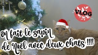 VLOG FAMILLE 341  ON FAIT LE SAPIN DE NOEL AVEC DEUX CHATS  ♥ [upl. by Acceb]