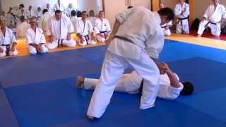 Kote Hineri Techniques 4  Sakai Sensei amp Findlay Sensei [upl. by Gord409]