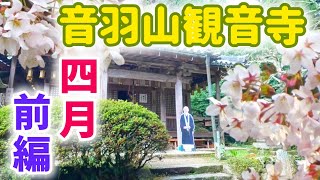 やまと尼寺精進日記のお寺 令和6年4月 前編 音羽山観音寺 [upl. by Ianej]