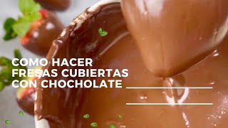 DIY Cómo Hacer Fresas Cubiertas con Chocolate Carolister Mom And Chef [upl. by Alysoun]