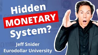 The Hidden Monetary System Running The World  Jeff Snider Eurodollar University [upl. by Inaffets829]