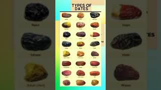 TYPES OF DATES IN SAUDI ARABIA NAMES OF DIFFERENT TYPES OF DATES HIGH QUALITY DATES IN SAUDIA SHORTS [upl. by Kaela]