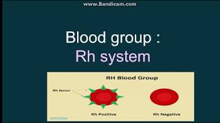 Rh incompatibility in Hindi  Pregnancy in Rh negative mother  Nursing Lecture [upl. by Ateiram270]