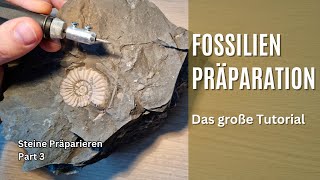 Das große Einsteigertutorial  FossilienPräparation [upl. by Steady670]