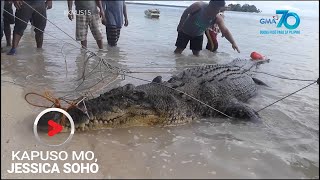 Kapuso Mo Jessica Soho Dambuhalang buwaya nahuli sa Simunul Tawitawi [upl. by Imaon658]