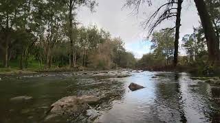 Natural stream in forest Sofara [upl. by Coe]