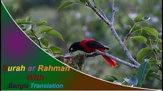 Surah ar Rahman full  মন জুড়ানো সুরে সূরা আর রহমান আরবিবাংলা [upl. by Esmaria]