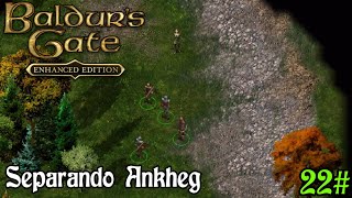 Baldurs Gate 1 Enhanced Edition  Quest Separando Ankheg [upl. by Arvy]