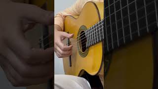 New Rumba guitar guitarstyle fingerstyle flamencoguitarist fingerstyleguitar music [upl. by Wolff]