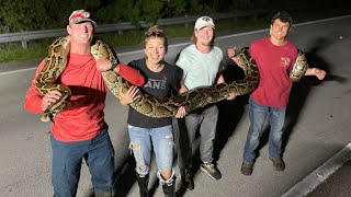 College Student Wrestles Massive 19Foot Python [upl. by Akiria]