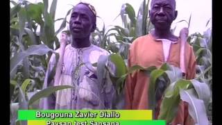 ONG AMEDD  Laménagement des champs pour une agriculture durable au Mali [upl. by Blaseio107]