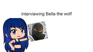 Talking to Bella the wolf [upl. by Novyar]